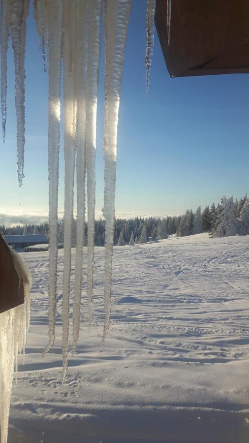 Kop Milmari P32 Leilighet Kopaonik Eksteriør bilde