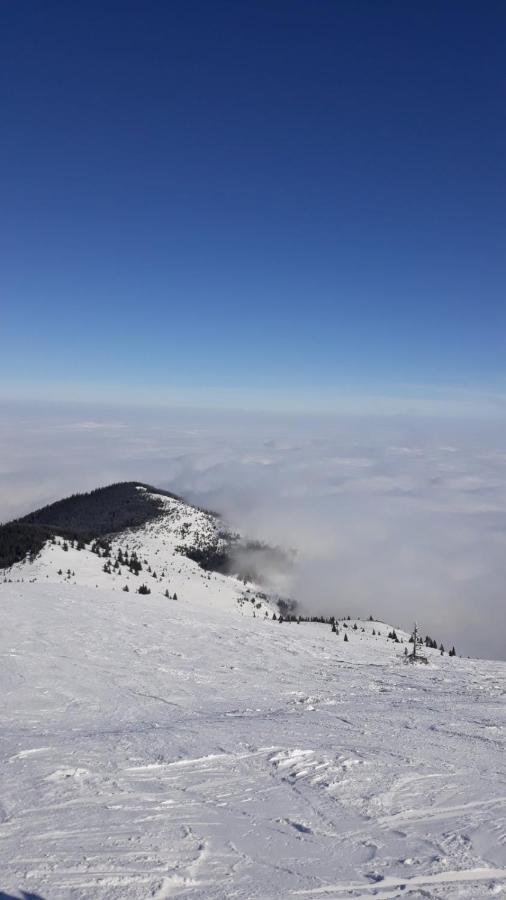 Kop Milmari P32 Leilighet Kopaonik Eksteriør bilde